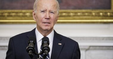 Former President Joe Biden (pictured October 2023) got lost in his own closet at the White House , a Secret Service whistleblower revealed to MAGA Senator Josh Hawley