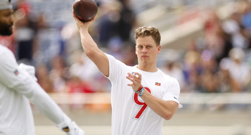 Joe Burrow Called Out By Bengals Fan At Fanatics Fest