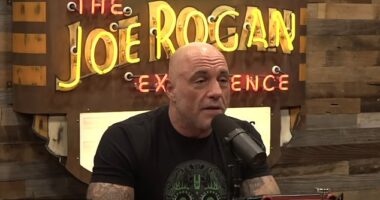 Joe Rogan has voiced fears about the ingredients used in bread in America, warning that it 'makes a difference' when it is cut from a diet