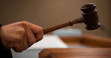 Judges Stop Trump From Deporting Accused Anti-Semites, Hamas Supporters.