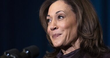 Vice President Kamala Harris speaks at an event at the White House