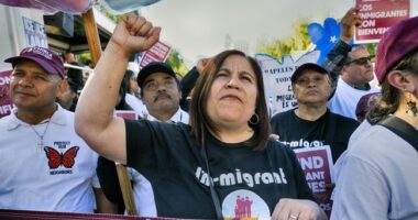 LA Logic: Since Illegals Are Too Scared of ICE to Go to Work They Shouldn't Have to Pay Rent, Either
