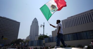 LA Riot Fever Spread to Downtown Santa Ana Yesterday