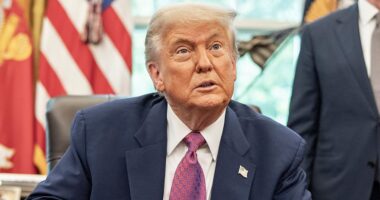 LA riots live: Trump unleashes on 'incompetent' Gavin Newsom after video message fail as ICE protests spread