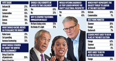 LORD ASHCROFT: 'We can sniff Starmer's fear of Farage' say voters as they back winter fuel U-turn and insist two-child benefit cap must stay