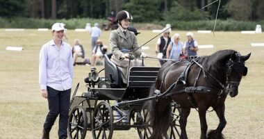 Lady Louise Windsor was spotted enjoying a day out alongside her rumoured boyfriend at The Sandringham Festival of Carriage Driving today. Pictured with Felix da Silva-Clamp, left