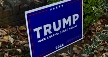 Trump yard sign