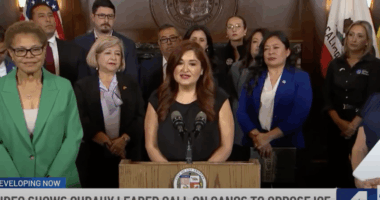 Leftist L.A.-Area Vice Mayor Allegedly Calls On Gangs To Fight ICE