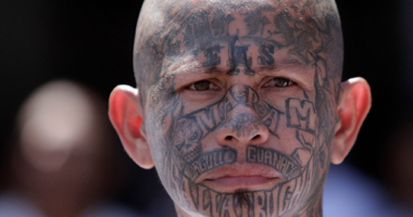 Legal Immigrants Support Donald Trump Deporting Illegal Immigrants – HotAir