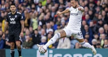 Leeds' Sam Greenwood scored seven goals on loan at relegation-battling Preston last season