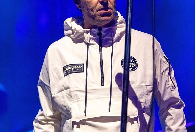 Liam Gallagher is reportedly facing a fresh legal battle with the mother of his love child over her demands to increase his child support payments in the lead up to the Oasis reunion tour (seen last year)