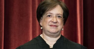 Liberal Justice Kagan Explained Why District Courts Can't Be Allowed to Constrain Presidents... in 2022 – RedState
