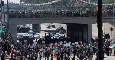 Authorities revealed rioters had shut down the 101 Freeway both southbound and northbound after they stormed the road en masse