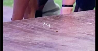 Love Island USA fans went wild after spotting what appeared to be an IUD on the floor of the villa
