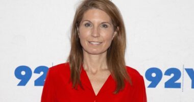 MSNBC's Nicole Wallace May Win Most Unhinged Media Take on Padilla Incident – RedState