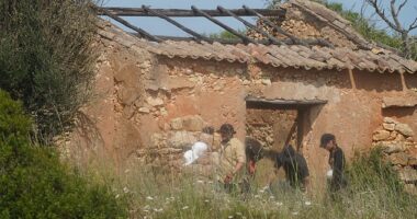 A worker could be seen using a spade to dig ground along the side of a rundown building, while others wearing gloves were seen carrying branches away