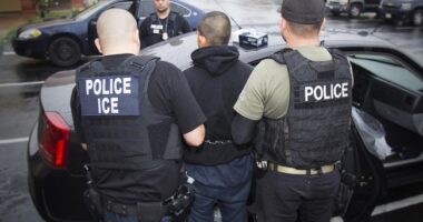 Major ICE Raid at an Omaha Meat-Packing Plant Reveals an Unfortunate Truth – RedState