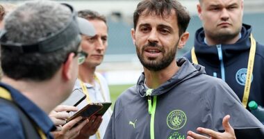 Midfielder Bernardo Silva has been appointed Manchester City's captain for the new season