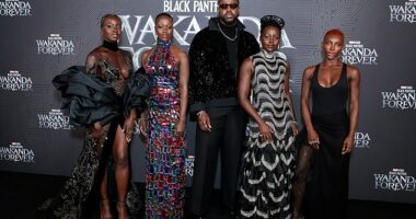 Marvel fans are in uproar after the debut of a controversial new storyline that reimagines Black Panther’s legacy—with a shocking twist: his successor appears to be white; (Danai Gurira, Florence Kasumba, Winston Duke, Lupita Nyong'o and Michaela Coel attend the Black Panther: Wakanda Forever premiere in 2022)
