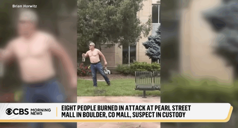 Media Downplay Motives Of Alien Charged With Attacking Jews