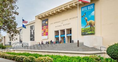 The Natural History Museums of Los Angeles County announced today that they'd be postponing their first ever Night of Wonder Gala this Saturday due to the ongoing LA riots