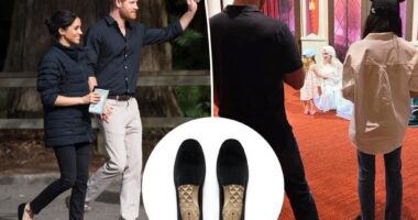 Meghan Markle wore her favorite Birdies shoes at Disneyland