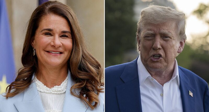 Melinda French Gates has made a glaring dig at Donald Trump 's tech billionaire friends for not staying true to their values. The billionaire philanthropist and businesswoman, 60, voiced her concern over Silicon Valley's political shift to the right and argued that many leading figures are only 'pivoting' because of public relations and image.