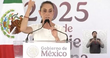Mexican President Threatened To 'Mobilize' Weeks Before LA Riots