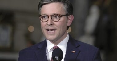 Mike Johnson Shreds Dems With Brutal Priorities Check in Preview of Midterms Messaging – RedState