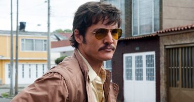 Missing Pedro Pascal in 'The Last of Us'? Check Out His Starring Role in This Underrated Netflix Drama
