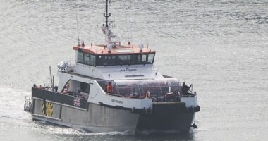 A group of people thought to be migrants are brought in to Dover, Kent, onboard a Border Force vessel following a small boat incident in the Channel on Saturday