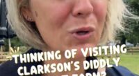 Nat, a mother from Surrey, took to social media to share her experience visiting the Top Gear star's sprawling Oxfordshire property, offering her advice to potential patrons on where to visit to avoid queuing. Pictured