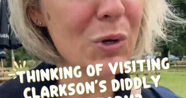 Nat, a mother from Surrey, took to social media to share her experience visiting the Top Gear star's sprawling Oxfordshire property, offering her advice to potential patrons on where to visit to avoid queuing. Pictured