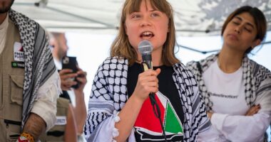 Celebrity Net Worth logo