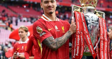 Napoli are reportedly targeting Liverpool striker Darwin Nunez for a summer transfer move