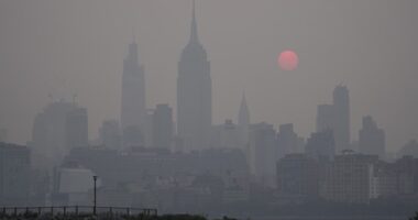 New York Real Estate Broker Flooded With Calls From Wealthy Residents Looking to Flee