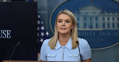 White House press secretary Karoline Leavitt highlighted the 'dangerous animals' that surround a new 'Alligator Alcatraz' detention facility for migrants