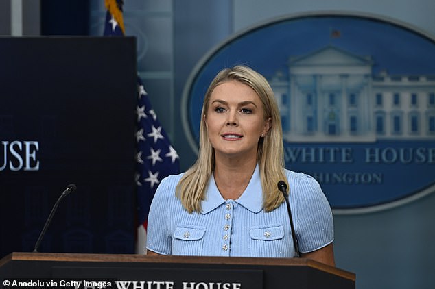 White House press secretary Karoline Leavitt highlighted the 'dangerous animals' that surround a new 'Alligator Alcatraz' detention facility for migrants