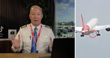 Captain Steve said the protrusion and the grey dot underneath the plane were evidence of the Ram Access Turbine (RAT) deploying