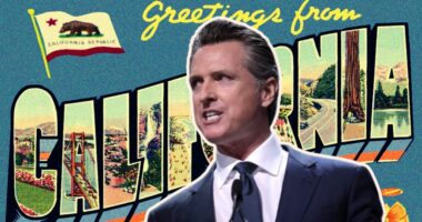 Newsom's National Guard Lawfare Suit Against Trump Got Thrown Out Unanimously.