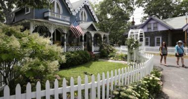 'Oh, Dear, Muffin! Whatever Shall We Do?' The Trauma Of Martha's Vineyard v Illegals Continues – HotAir