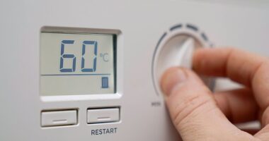 Our immersion heater broke down last Friday and thus far has resisted all efforts by the good people at British Gas to fix it, writes Richard Littlejohn