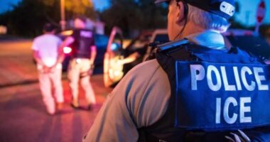 Migrant Crime