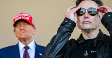 Options traders pile into bearish bets on Tesla at fastest pace on record as Musk-Trump feud escalates