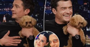 Orlando Bloom brings 'emotional support' dog to 'Tonight Show' amid Katy Perry relationship woes