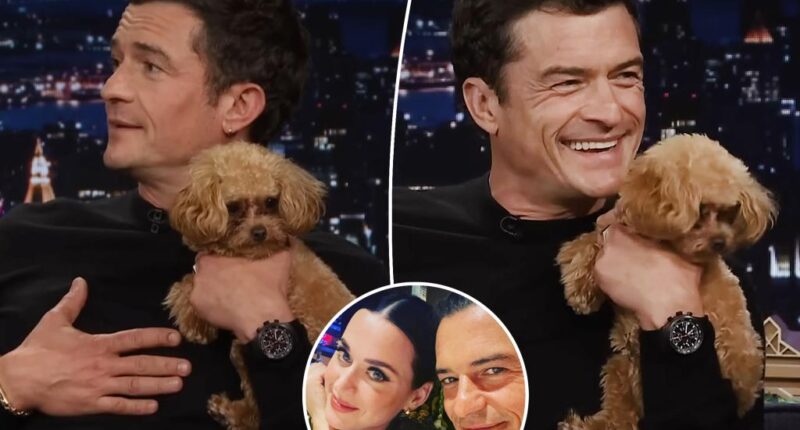 Orlando Bloom brings 'emotional support' dog to 'Tonight Show' amid Katy Perry relationship woes