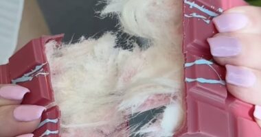 People have been left disgusted by a bizarre new 'hairy chocolate bar' coming from Dubai