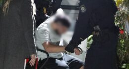 Adam Abdul-Hamid, 19, was arrested at a home in Heckenberg, in Sydney 's south-west, for his alleged involvement in the horrific sexual assault of a 17-year-old girl in December last year