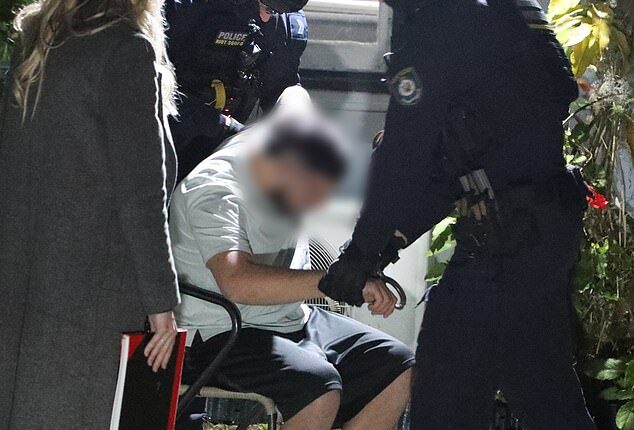 Adam Abdul-Hamid, 19, was arrested at a home in Heckenberg, in Sydney 's south-west, for his alleged involvement in the horrific sexual assault of a 17-year-old girl in December last year