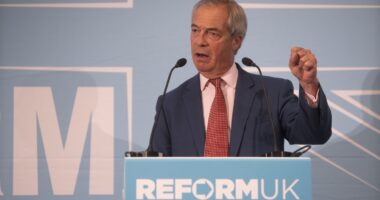 Poll sees Reform UK take nine-point lead over Labour